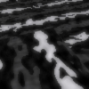 Area